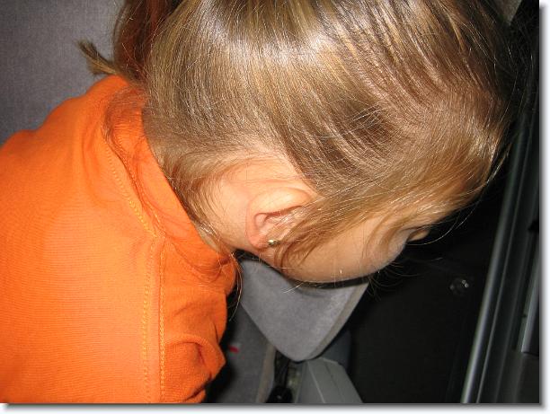 Diapositiva siguiente